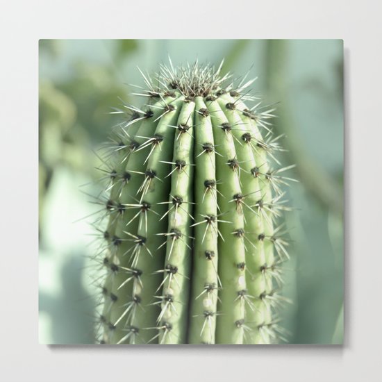 Cactus Metal Print