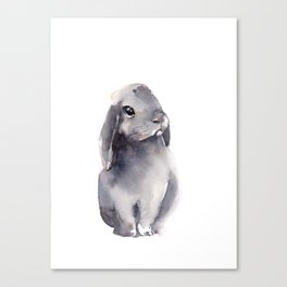 Bunny Canvas Print