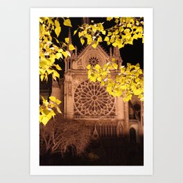 Midnight Blossoms Art Print