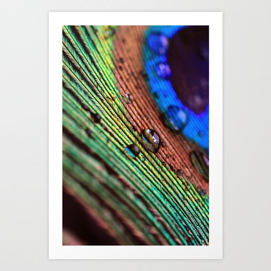 peacock feather Art Print