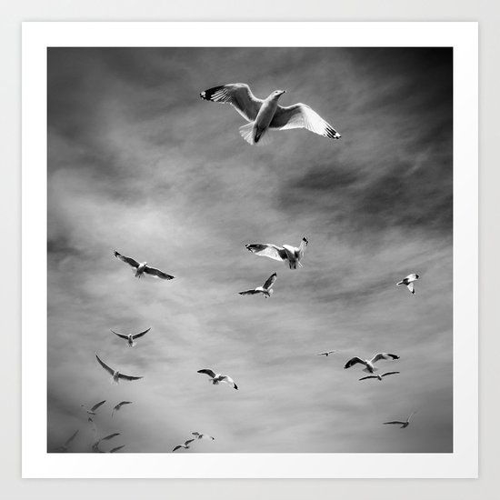 Seagulls, Grey Art Print
