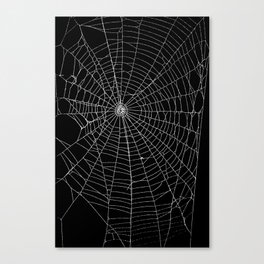 Spider Spider Web Canvas Print