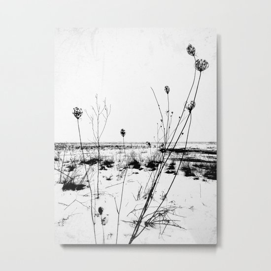 | the desolation flowers | Metal Print