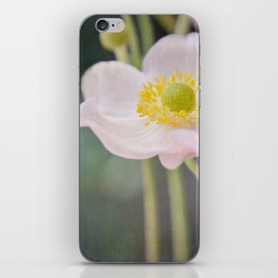 Anemone love II iPhone & iPod Skin