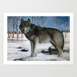 Grey Wolf In Winter Oil Pastel Painting Art Print By Joyart