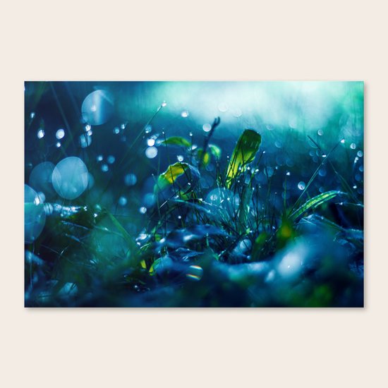 Emergence Canvas Print