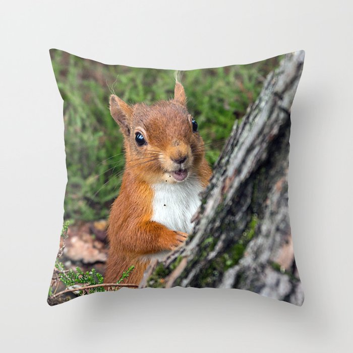 Throw pillows with hotsell animals on them