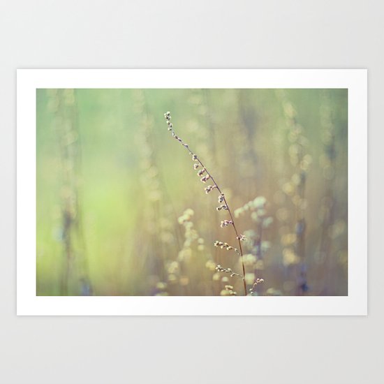 Technicolor Dream Art Print