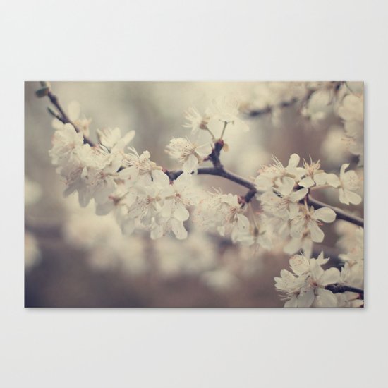 Vintage Dreams Canvas Print
