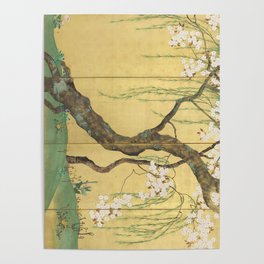 Cherry, Maple and Budding Willow Tree Poster