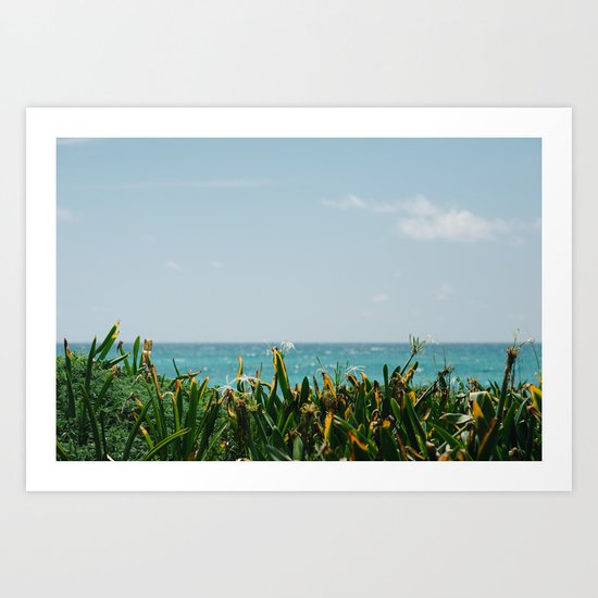 Turquoise Art Print