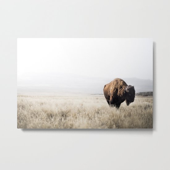 Bison stance Metal Print