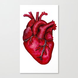 Anatomical Heart Painting Red Canvas Print