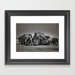 Elephant Herd Circling II Framed Art Print