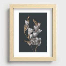 Night Flowers Recessed Framed Print