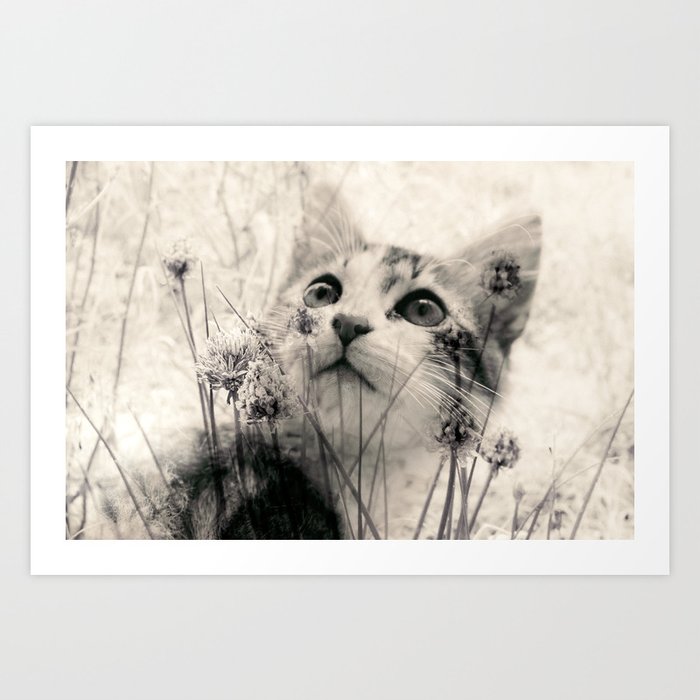 Cat with wild flowers Art Print