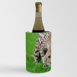 cheetah grass hunting pose lurk big cat spotted Wine Chiller
