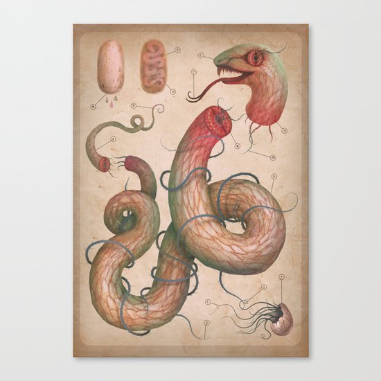 Serpent Analysis Canvas Print