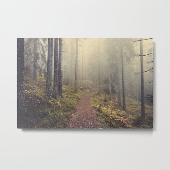 Norwegian Woods Metal Print