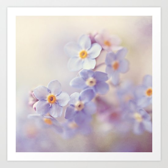 spring fever Art Print