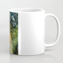 Turtle reef launch Coffee Mug