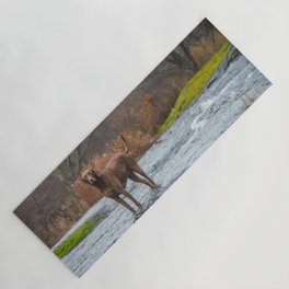 Dog Yoga Mats Society6