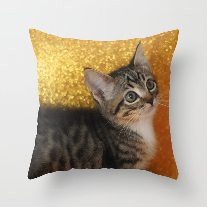 Throw Pillow