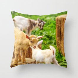 Baby Goats Playing Throw Pillow