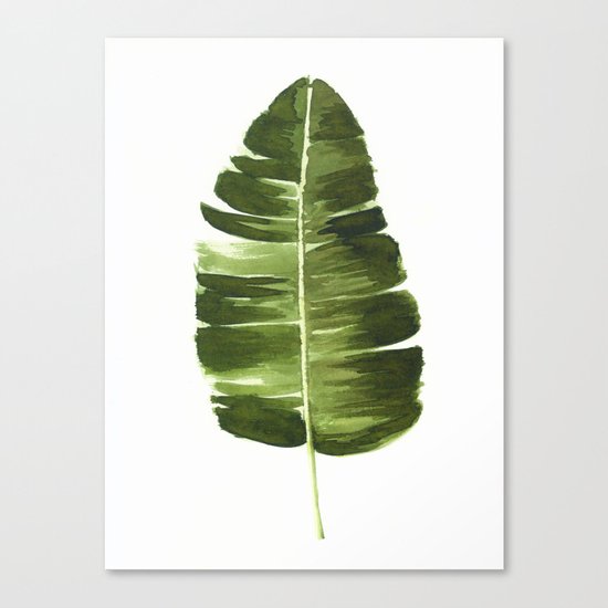 Nature leaves II Canvas Print