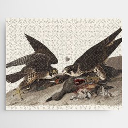 Great Footed Hawk from Birds of America (1827) by John James Audubon Jigsaw Puzzle
