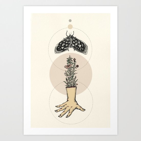 Moth Art Print