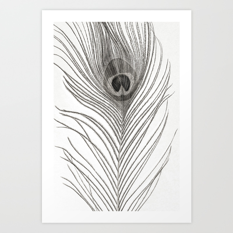 Saksas Peacock Feather Logo Black And White Download in under 30 seconds. saksas blogger