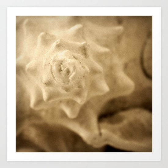 Seaside Secrets Art Print