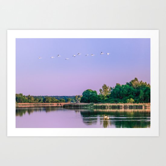 Swans are flying Art Print