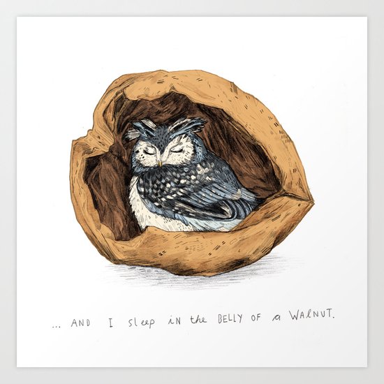 Belly of a Walnut Art Print