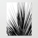 Contemporary Palm Leaf in Black and White Leinwanddruck
