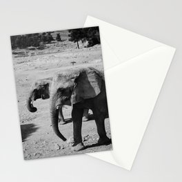 Elephant duo in black & white Stationery Card