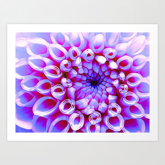 Electric Dahlia Art Print