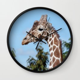 Reticulated giraffe Wall Clock