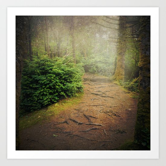 I Stepped Into A Dream Art Print