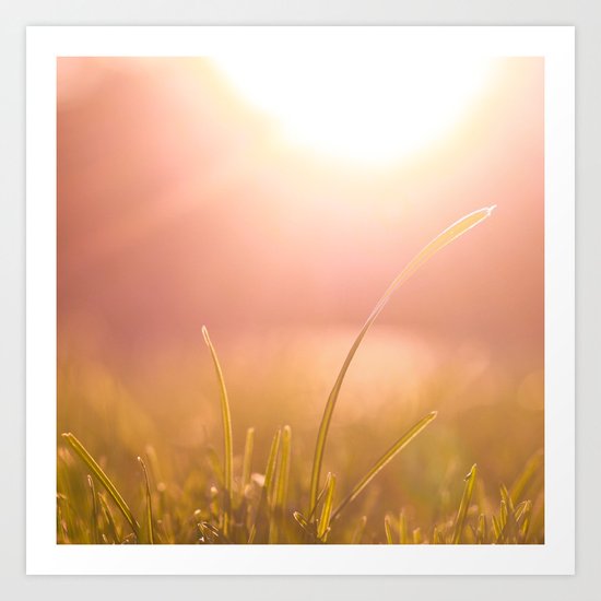 Shine Art Print