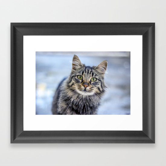 Cat Eyed Framed Art Print
