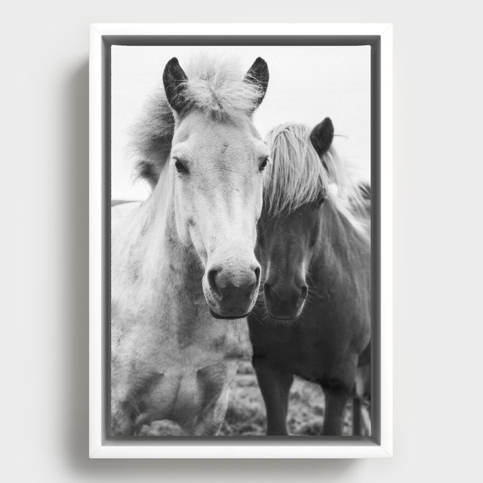 Black and White Horses Framed Canvas