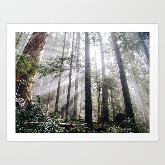 Heart of the Wild Art Print
