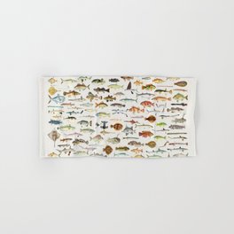 Illustrated Colorful Southern Pacific Exotic Game Fish Identification Chart Hand & Bath Towel