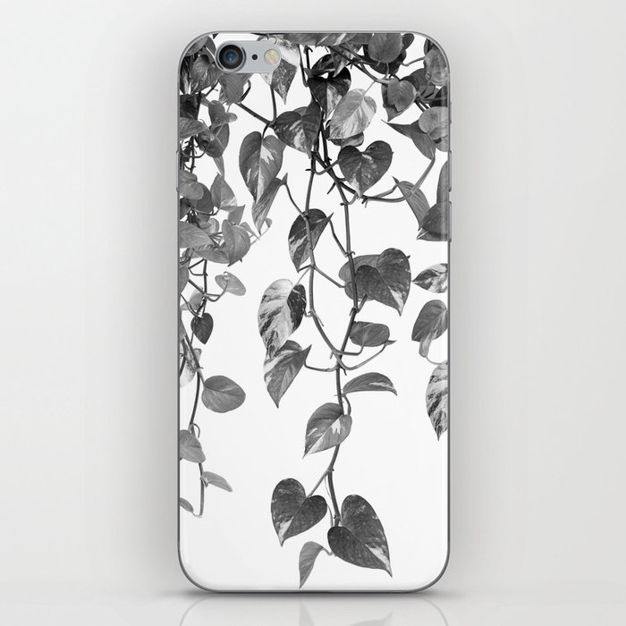 Golden Pothos Ivy Dream #2 #tropical #wall #art #society6 iPhone Skin