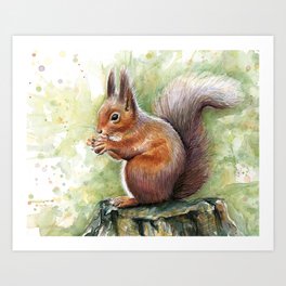 Squirrel Watercolour with Rainure Large Framed Art Print Wall Poster 18x24 inch 