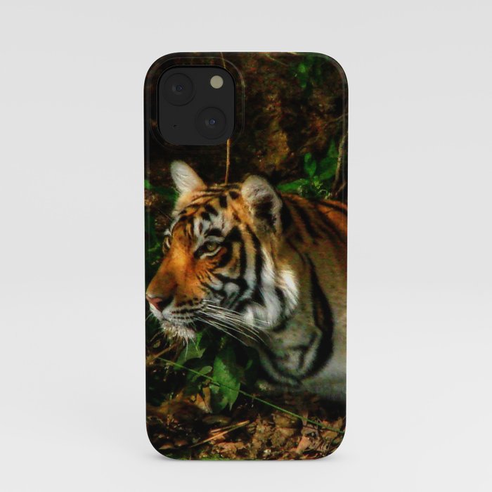Bengal Beauty iPhone Case