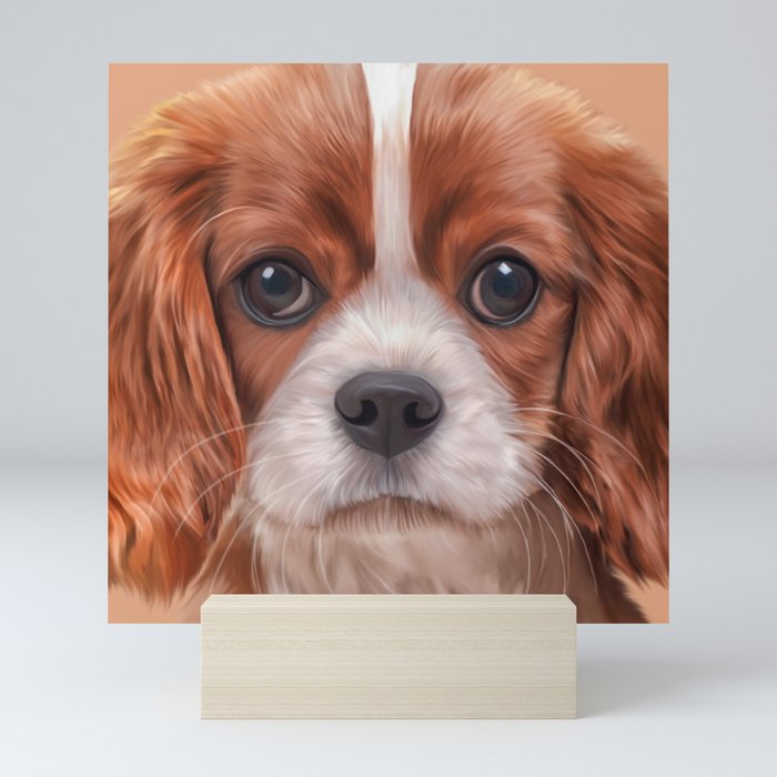 Mini cavalier discount