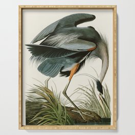 Great blue Heron - John James Audubon's Birds of America Print Serving Tray